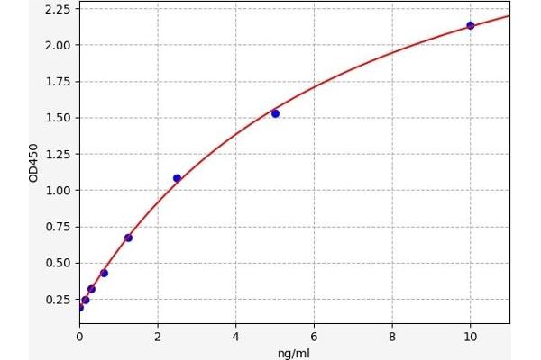 PRTN3 ELISA Kit