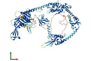AlphaFold protein structure predicition of Human Recombinant USP48 Protein, UniprotID Q86UV5 (USP48 Protein (AA 1-1035) (His tag))