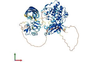 Protein Structure (PS) image for Protein Kinase C, epsilon (PRKCE) (AA 1-737) protein (His tag) (ABIN7554384)