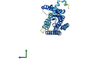 AlphaFold protein structure predicition of Human Recombinant OR8J2 Protein, UniprotID Q8NGG1 (OR8J2 Protein (AA 1-315) (His tag))