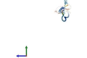 AlphaFold protein structure predicition of Human Recombinant RUFY1 Protein, UniprotID Q96T51
