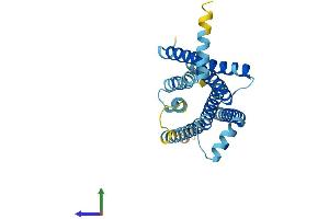 AlphaFold protein structure predicition of Human Recombinant TAS2R8 Protein, UniprotID Q9NYW2 (TAS2R8 Protein (AA 1-309) (His tag))