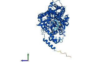 AlphaFold protein structure predicition of Human Recombinant NADSYN1 Protein, UniprotID Q6IA69