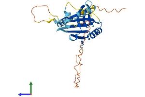 AlphaFold protein structure predicition of Mouse Recombinant Rec114 Protein, UniprotID Q9CWH4
