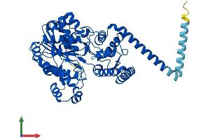 AlphaFold protein structure predicition of Mouse Recombinant Far1 Protein, UniprotID Q922J9 (FAR1 Protein (AA 1-515) (His tag))