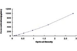 Typical standard curve (IL-13 ELISA Kit)