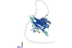AlphaFold protein structure predicition of Mouse Recombinant Arih1 Protein, UniprotID Q9Z1K5 (ARIH1 Protein (AA 1-555) (His tag))