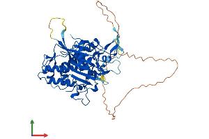 AlphaFold protein structure predicition of Mouse Recombinant Adat1 Protein, UniprotID Q9JHI2