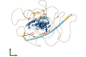 Protein Structure (PS) image for Synaptic Ras GTPase Activating Protein 1 (SYNGAP1) (AA 1-1343) protein (His tag) (ABIN7555671)