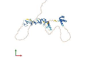 AlphaFold protein structure predicition of Human Recombinant LHX6 Protein, UniprotID Q9UPM6