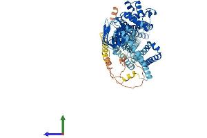 AlphaFold protein structure predicition of Human Recombinant ABCD2 Protein, UniprotID Q9UBJ2 (CCL17 Protein (AA 1-740) (His tag))