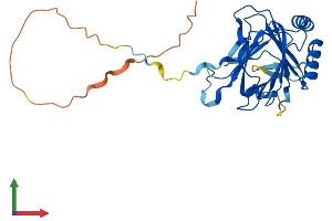 AlphaFold protein structure predicition of Mouse Recombinant Alkbh3 Protein, UniprotID Q8K1E6