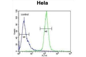 Flow Cytometry (FACS) image for anti-H2A Histone Family, Member Y2 (H2AFY2) antibody (ABIN2995804)