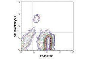 Flow Cytometry (FACS) image for anti-CD34 (CD34) antibody (PerCP-Cy5.5) (ABIN2660361) (CD34 antibody  (PerCP-Cy5.5))