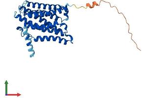 AlphaFold protein structure predicition of Mouse Recombinant Elovl2 Protein, UniprotID Q9JLJ4 (ELOVL2 Protein (AA 1-292) (His tag))