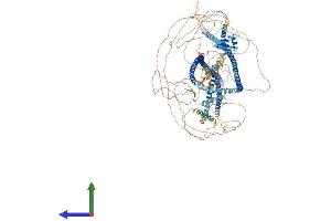 AlphaFold protein structure predicition of Mouse Recombinant Cep164 Protein, UniprotID Q5DU05 (CEP164 Protein (AA 1-1446) (His tag))