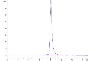 The purity of Rhesus macaque FGFR4 is greater than 95 % as determined by SEC-HPLC. (FGFR4 Protein (AA 22-369) (His tag))