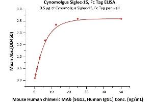 Immobilized Cynomolgus Siglec-15, Fc Tag (ABIN6923189,ABIN6938874) at 5 μg/mL (100 μL/well) can bind Mouse Human chimeric MAb (5G12, Human IgG1) with a linear range of 0. (SIGLEC15 Protein (AA 20-263) (Fc Tag))