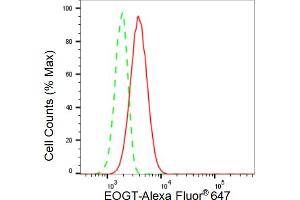 Flow cytometric analysis of EOGT expression in HT- cells using EOGT antibody (ABIN7798081), 1:2,000). (Recombinant AER61 antibody)