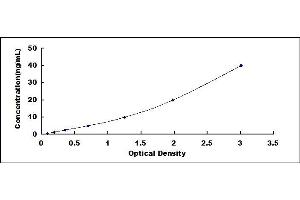 Typical standard curve