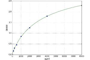 Baculoviral IAP Repeat-Containing 7 (BIRC7) ELISA Kit