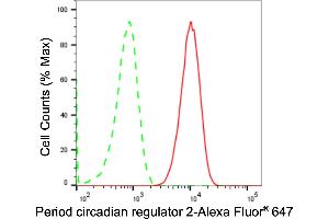 Flow cytometric analysis of Period circadian regulator 2 expression in C2C12 cells using Period circadian regulator 2 antibody (ABIN7799772), 1:2,000). (Recombinant PER2 antibody)
