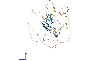 Protein Structure (PS) image for Centromere Protein T (CENPT) (AA 1-561) protein (His tag) (ABIN7553171)