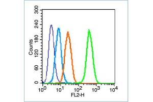 HL-60 cells probed with Insulin Receptor Beta Antibody, unconjugated  at 1:100 dilution for 30 minutes compared to control cells (blue) and isotype control (orange)