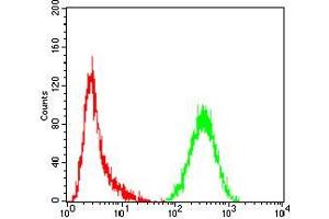 Flow cytometric analysis of Hela cells using CASP3 mouse mAb (green) and negative control (red). (Caspase 3 antibody  (AA 29-175))