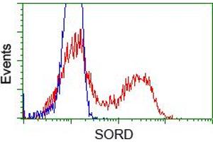 Flow cytometric analysis of Hela cells, using anti-SORD antibody (ABIN2453677), (Red) compared to a nonspecific negative control antibody (TA50011) (Blue). (SORD antibody)