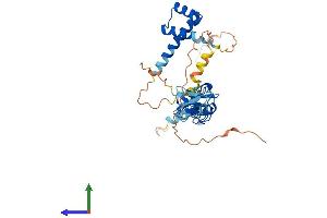 AlphaFold protein structure predicition of Mouse Recombinant Isl1 Protein, UniprotID P61372