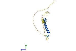 AlphaFold protein structure predicition of Human Recombinant NAP1L5 Protein, UniprotID Q96NT1