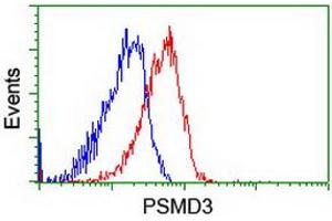 Image no. 1 for anti-Proteasome (Prosome, Macropain) 26S Subunit, Non-ATPase, 3 (PSMD3) antibody (ABIN1499980) (PSMD3 antibody)