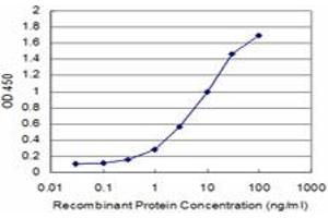 Detection limit for recombinant GST tagged CDK5R1 is approximately 0. (CDK5R1 antibody  (AA 208-307))