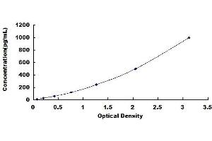 Typical standard curve (IL-8 ELISA Kit)