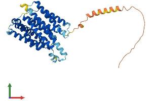 AlphaFold protein structure predicition of Mouse Recombinant Nipa2 Protein, UniprotID Q9JJC8 (NIPA2 Protein (AA 1-359) (His tag))