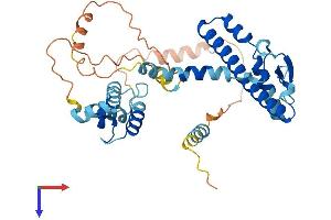 AlphaFold protein structure predicition of Mouse Recombinant Dnajc18 Protein, UniprotID Q9CZJ9 (DNAJC18 Protein (AA 1-357) (His tag))