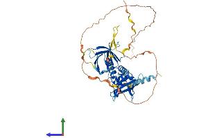 Protein Structure (PS) image for Signal Transducing Adaptor Family Member 2 (STAP2) (AA 1-411) protein (His tag) (ABIN7559636)