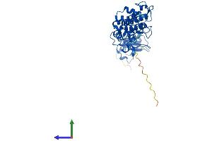AlphaFold protein structure predicition of Mouse Recombinant Dffb Protein, UniprotID O54788 (DFFB Protein (AA 1-344) (His tag))