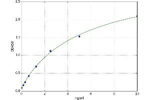 Solute Carrier Family 7, (Cationic Amino Acid Transporter, Y+ System) Member 11 (SLC7A11) ELISA Kit