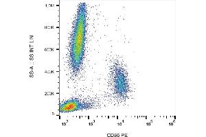 Flow cytometry analysis (surface staining) of human peripheral blood cells with anti-CD86 (BU63) PE. (CD86 antibody  (PE))