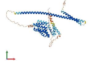 AlphaFold protein structure predicition of Mouse Recombinant Klc3 Protein, UniprotID Q91W40 (KLC3 Protein (AA 1-508) (His tag))