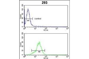 PRDX1 Antibody (Center) (ABIN389467 and ABIN2839531) flow cytometric analysis of 293 cells (bottom histogram) compared to a negative control cell (top histogram). (Peroxiredoxin 1 antibody  (AA 88-116))