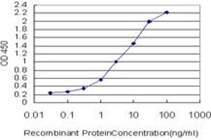 Detection limit for recombinant GST tagged POLD3 is approximately 0. (POLD3 antibody  (AA 357-466))