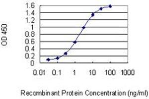 Detection limit for recombinant GST tagged IRS4 is 0. (IRS4 antibody  (AA 850-950))