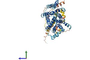 AlphaFold protein structure predicition of Mouse Recombinant Slc35a5 Protein, UniprotID Q921R7 (SLC35A5 Protein (AA 1-437) (His tag))
