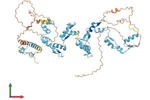 Protein Structure (PS) image for Zinc Finger Protein 440 (ZNF440) (AA 1-595) protein (His tag) (ABIN7545274)