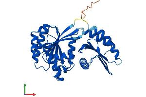 AlphaFold protein structure predicition of Human Recombinant RRAGA Protein, UniprotID Q7L523 (RRAGA Protein (AA 1-313) (His tag))