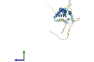 Protein Structure (PS) image for Pre-B-Cell Leukemia Homeobox 4 (PBX4) (AA 1-378) protein (His tag) (ABIN7560442)