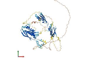 AlphaFold protein structure predicition of Human Recombinant STAU2 Protein, UniprotID Q9NUL3 (Double-stranded RNA-binding protein Staufen homolog 2 (STAU2) (AA 1-570) protein (His tag))